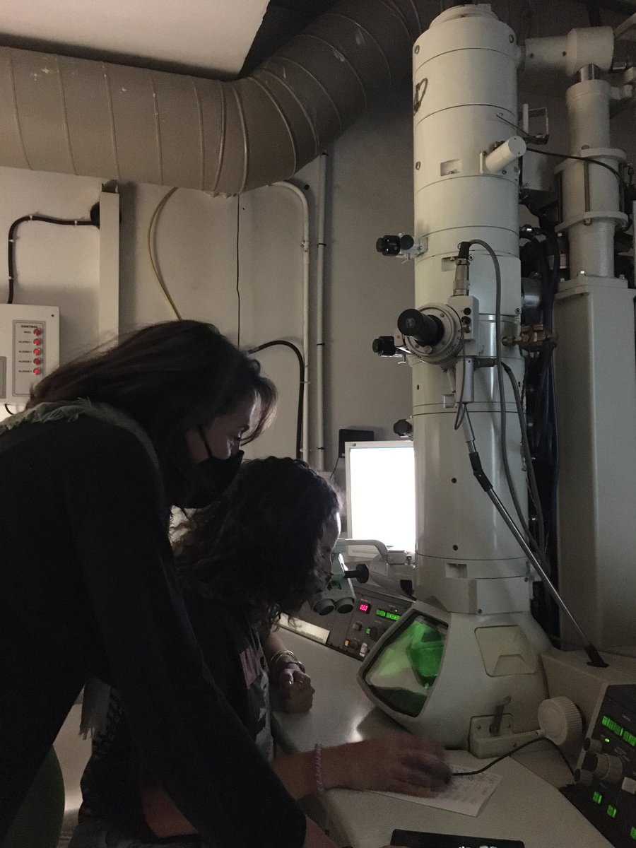Riesgo Lab (@labriesgo) on Twitter photo Imaging nemertean proboscis at TEM for <a href="/aida_verdes/">Aida Verdes</a> with <a href="/marietaconejero/">Marieta</a> at <a href="/InstitutoCajal/">Instituto Cajal-Centro de Neurociencias Cajal-CSIC</a> <a href="/MSCActions/">Marie Skłodowska-Curie Actions</a> Nemertean venome will have no secrets for us!! 🪱 Imaging nemertean proboscis at TEM for <a href="/aida_verdes/">Aida Verdes</a> with <a href="/marietaconejero/">Marieta</a> at <a href="/InstitutoCajal/">Instituto Cajal-Centro de Neurociencias Cajal-CSIC</a> <a href="/MSCActions/">Marie Skłodowska-Curie Actions</a> Nemertean venome will have no secrets for us!! 🪱