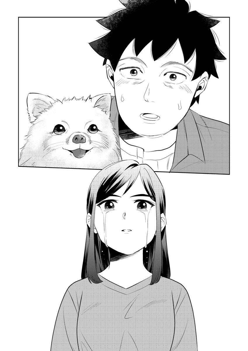 4/4 