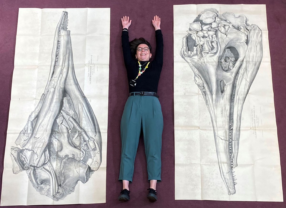 Look what we've found in one of our Rare Books! 

Life-size lithograph of an ichthyosaur skull by Carl Theodori (1788-1857), found in Banz, Germany circa 1843

Thanks to Megan from our Policy Team for providing some scale!

#FromTheArchives #FossilFriday #ColossalFossil #Fossil