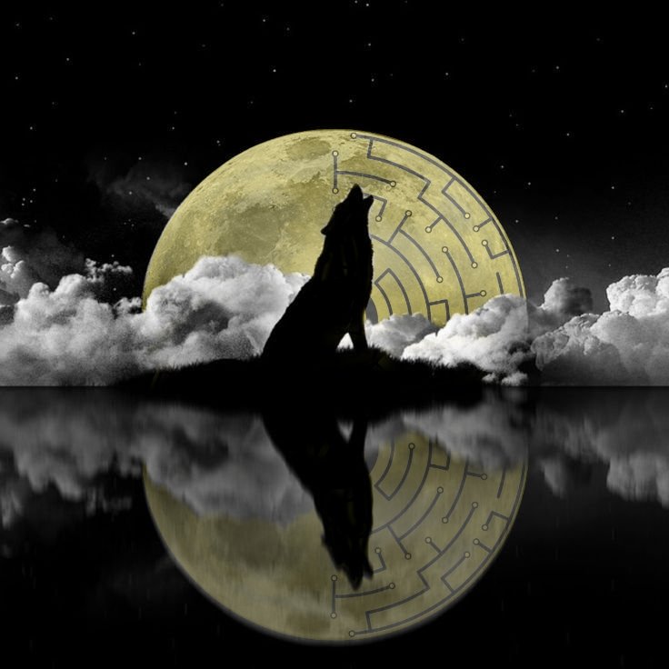 Fortunes are always hiding, it's time $Mooni started showing himself to the world.

#Mooni
#BSC 
#BTC 
#Crypto
#GMR 
<a href="/cz_binance/">CZ 🔶 BNB</a> 
#Binance 
<a href="/XTexchange/">XT Exchange 🚀 #BeyondTrade</a> 
#PancakeSwap 
#AquaGoat 
#Cardano