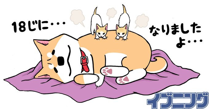 画像まとめ いとしのムーコ アニメレーダー 画像まとめ いとしのムーコ アニメレーダー