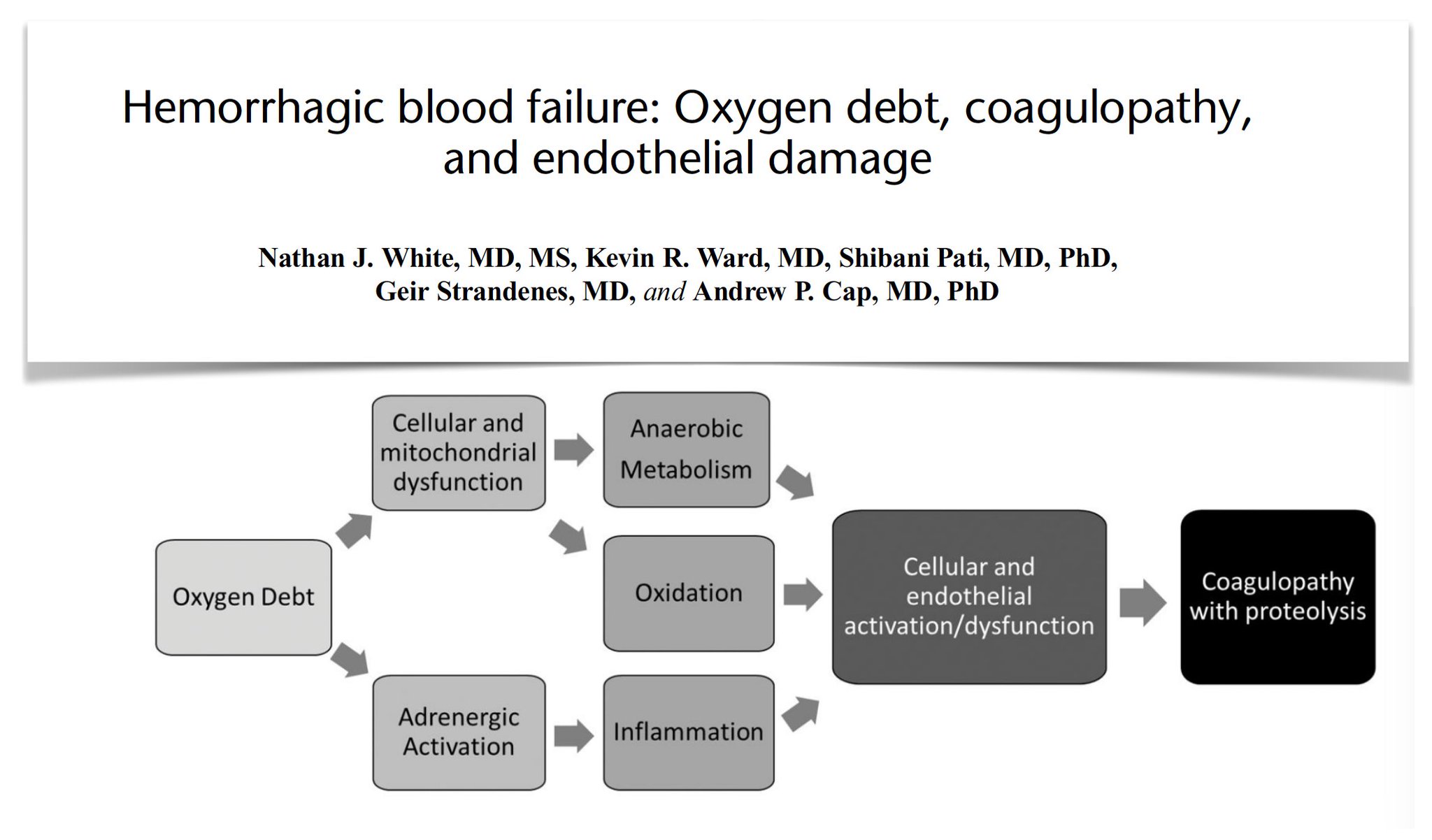 M Velia Antonini on Twitter: