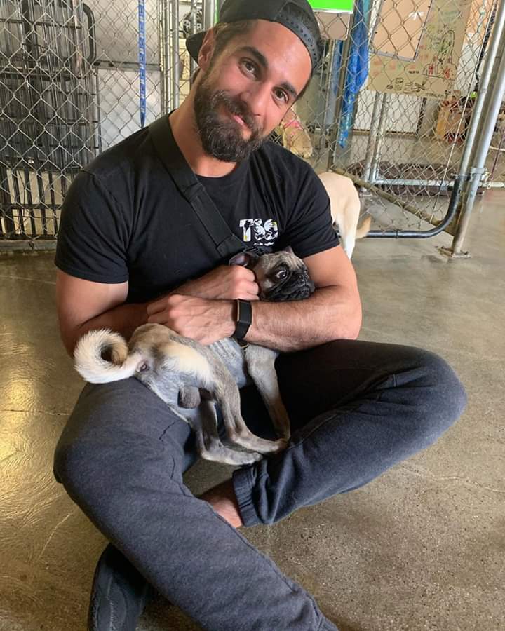 Happy 35th birthday <a href="/WWERollins/">Seth Rollins</a> enjoy your day