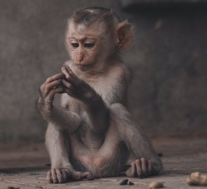 officialtwinny's tweet image. I wanted to post the clip ya bishop #makamu getting arrested, mara nizothi it&apos;s R100 promo 😔