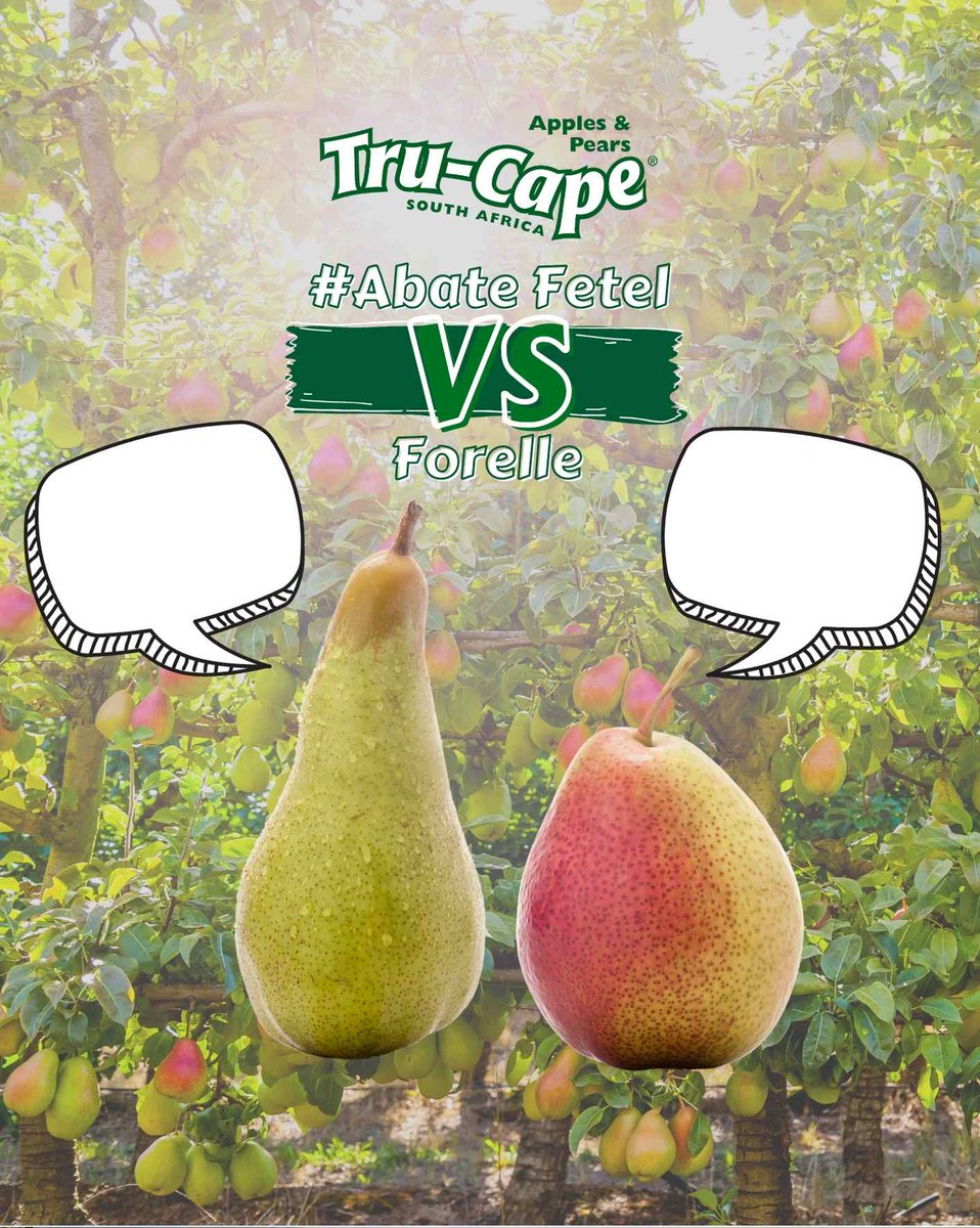 TruCapeFruit's tweet photo. Can you create your own Pear puns?
 
Comment your puns below!

Check out our Facebook page for more details about the #AbateFetelVSForelle competition!  

#FruitMatch #Pear #vscompetition #TruCape #win #Abatefetel #Forelle https://t.co/fLi40EEFRU