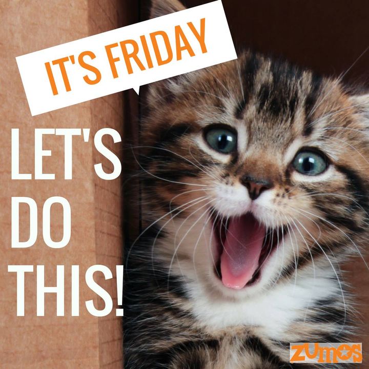 Who is ready for a bank holiday weekend ?🌞👍
#WorkHard #life #Smile #fun #wellbeing #support 🌻