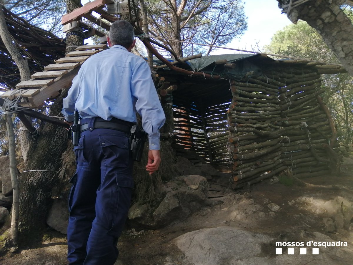 Tallen alzines del parc del Montnegre i Corredor per construir cabanes al mig del bosc. Denunciem administrativament dos joves per alteració de les condicions d’un espai natural protegit
