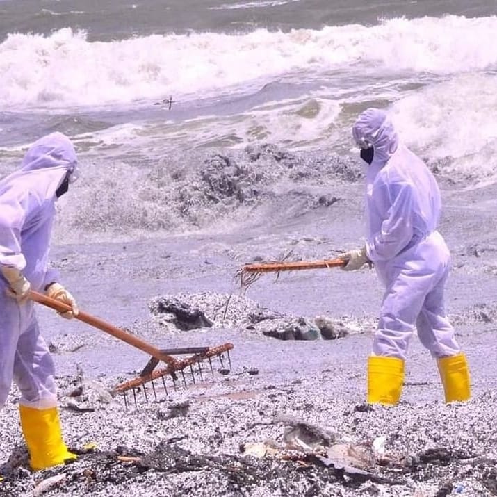 XRebellionLK's tweet photo. Sri Lanka is facing one of the biggest #marinepollution events in its history because of the #xpresspearl fire. The entire Western Coastal Belt of the country has now been polluted with chemicals, plastic pellets and an oil spill, with possible acid rain on the way. #lka https://t.co/MYvcYQWUvP