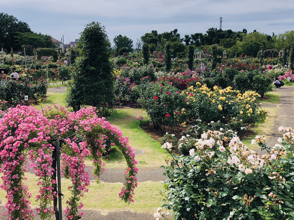 ガーデンセンター