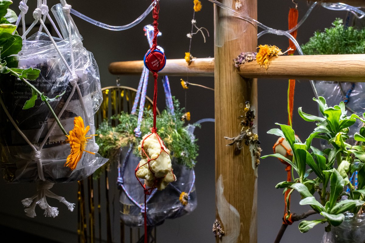 Herbert Art Gallery & Museum tweet media