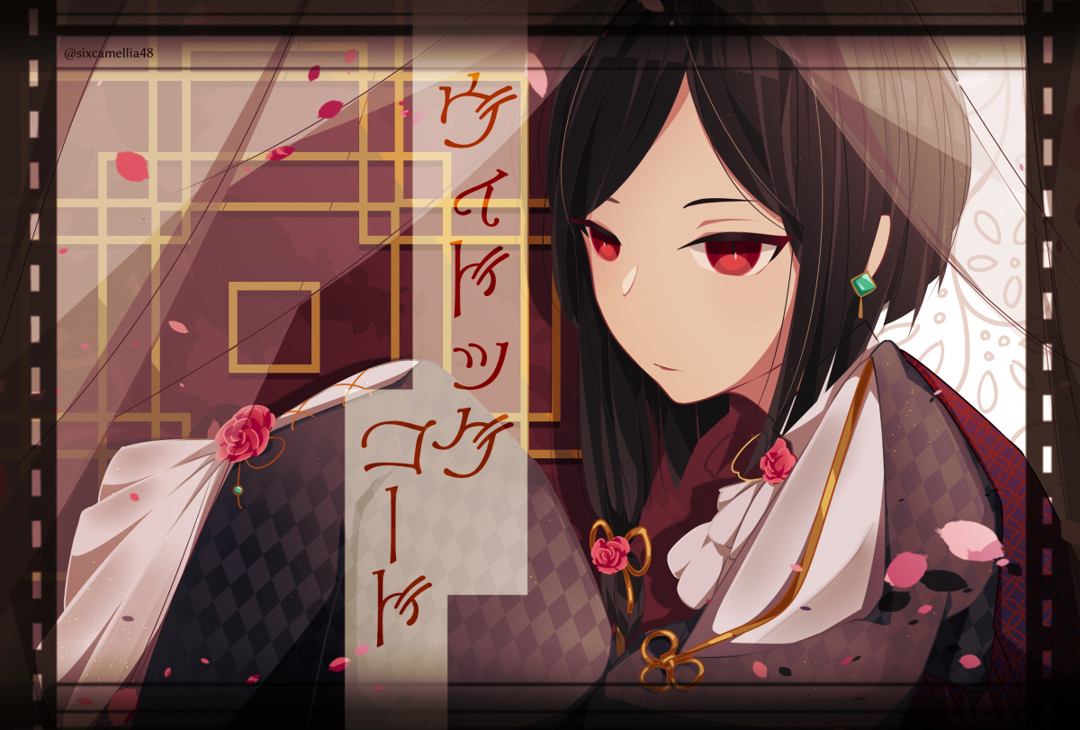 ヴィドッグ コード