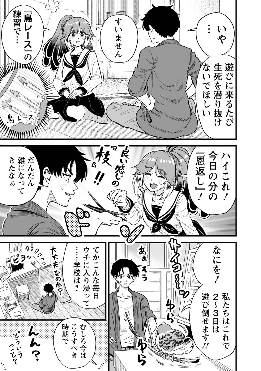 人に化ける雀の女の子が縁側に突っ込んでくる漫画 