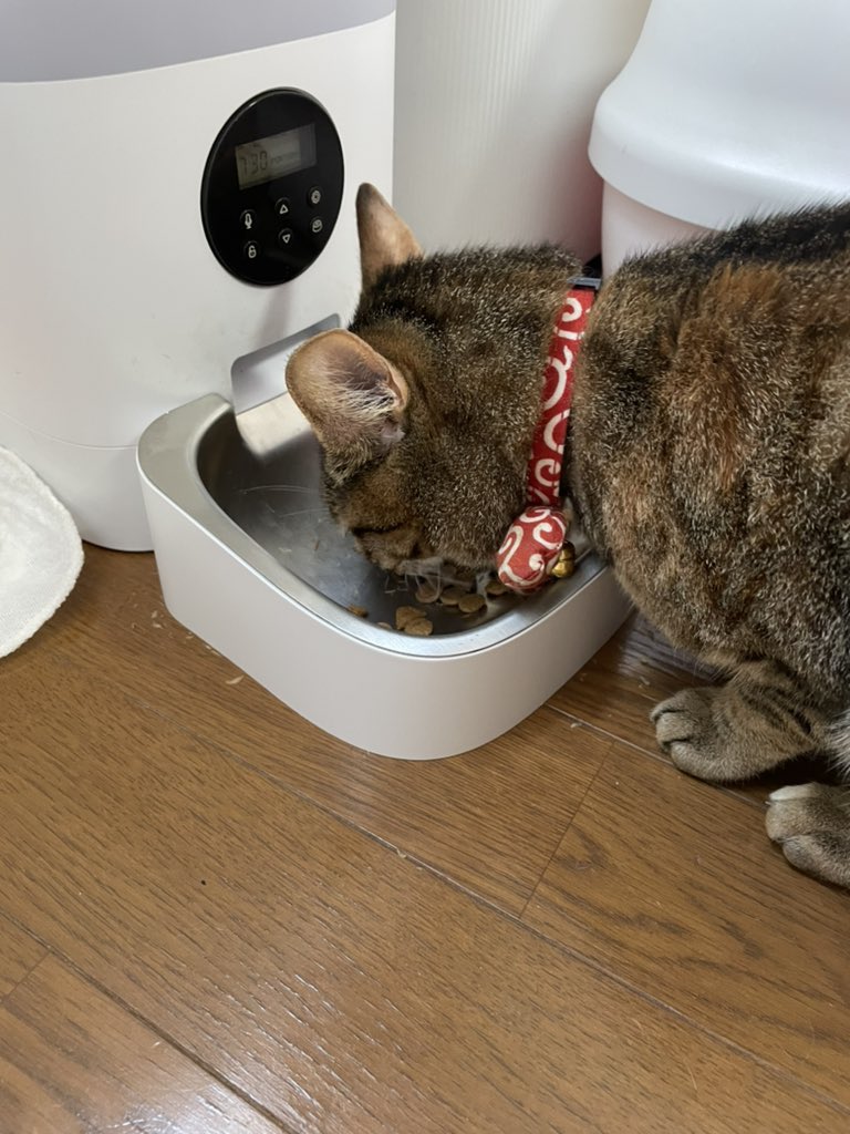 社会人博士課程