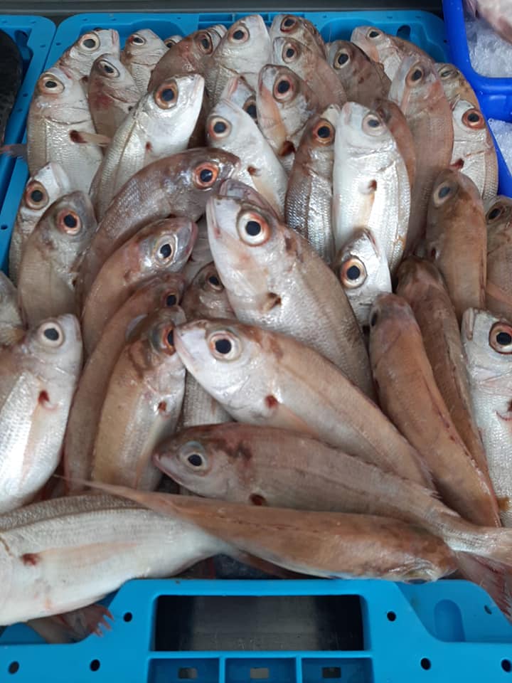 granadillaabona's tweet image. 🎣🇮🇨 ¿Qué mejor forma de celebrar nuestro #DíadeCanarias que con la #LonjaPesquera? 
🕜De miércoles a sábado, de 9 a 14h, y el domingo de 9 a 13h, en el muelle de Los Abrigos o llámanos al 922 749 217 y pregunta por el servicio de #repartoadomicilio. 
#GranadilladeAbona