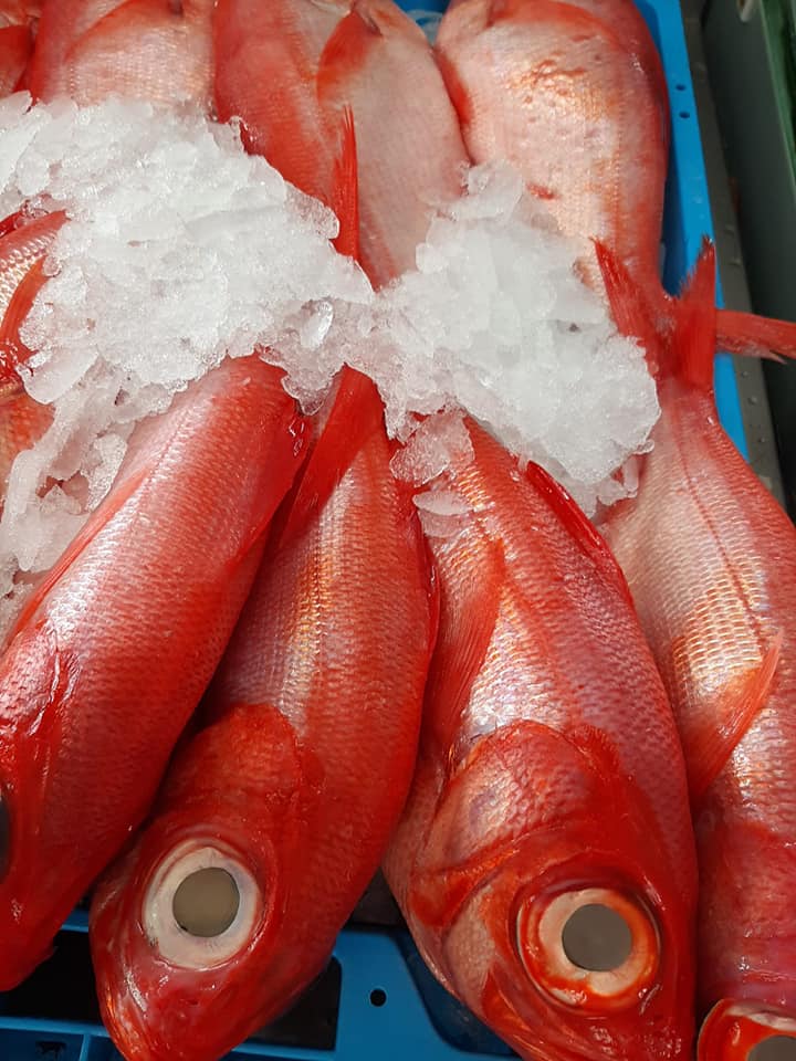 granadillaabona's tweet image. 🎣🇮🇨 ¿Qué mejor forma de celebrar nuestro #DíadeCanarias que con la #LonjaPesquera? 
🕜De miércoles a sábado, de 9 a 14h, y el domingo de 9 a 13h, en el muelle de Los Abrigos o llámanos al 922 749 217 y pregunta por el servicio de #repartoadomicilio. 
#GranadilladeAbona