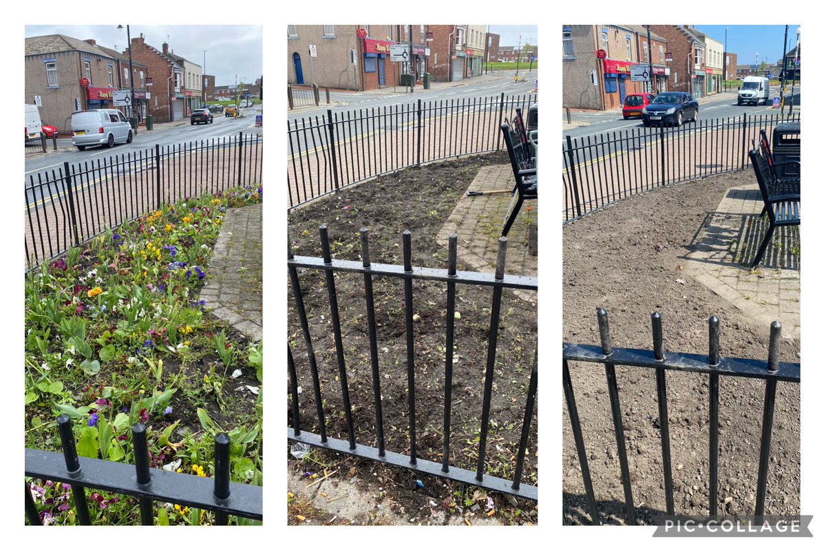 LetsTalkSARA's tweet photo. A big thank you to volunteers who dug over the soil at Southwick Green today ready for planting tomorrow morning.

See our progress photos below.

It’s not too late to help plant flowers tomorrow morning from 10am. No tools or experience needed- just turn up 👍 https://t.co/R7z3dZynm7