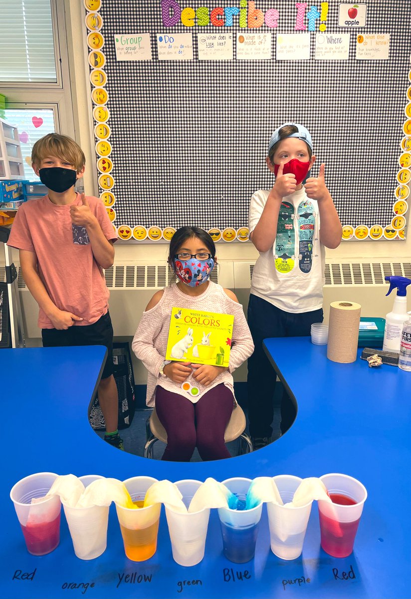 Laura Ciervo tweet media