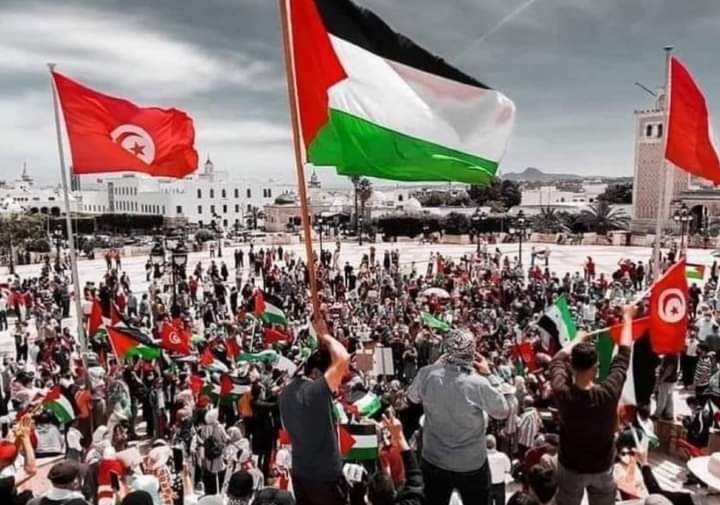 HajriaEllaa's tweet photo. تونس🇹🇳💪🏼 لن تتخلى عن إخوتنا في فلسطين 🇵🇸💞
#SaveSilwan 
 #القدس_عاصمه_فلسطين 🇵🇸
#اسرائيل_تخترق_الهدنه
#FreePalestine
#GazaUnderAttack
#Palestine
#Gaza_under_bombardment
#savesheikhjarrah
#غزة_تحت_القصف  🇵🇸
#AqsaUnderAttack https://t.co/kSMNPqFBW0