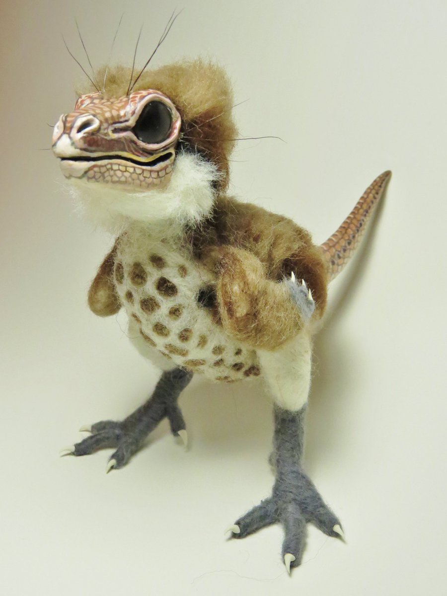 Little known fact: Raptors evolved from ducks, not the other way around.