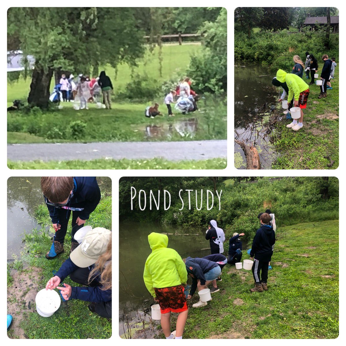5th grade camp pond study🐠🐟🪳#wearemaumee