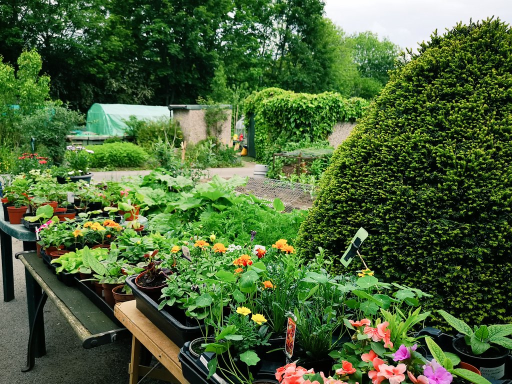 The <a href="/LordMayorOfMcr/">Councillor Carmine Grimshaw</a> visited #Sharston allotments today to view work being done for accessibility.

Also shown with John Lee, a member at Sharston for 61 years.

There's a well-stocked shop too for #gardening supplies. 

#LocalNews #Wythenshawe
