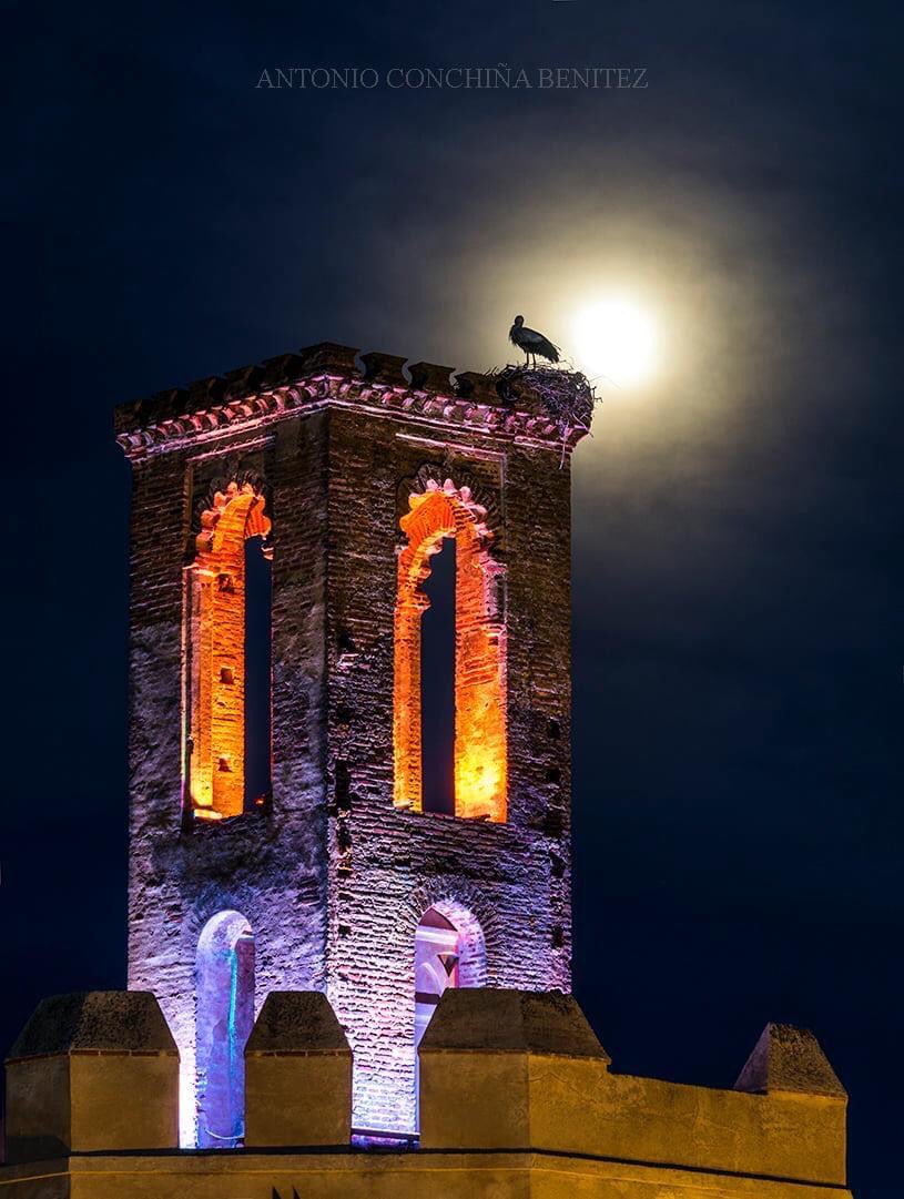 CiudadDBadajoz's tweet photo. "la cigüeña y la Luna"
La Luna llena de ayer sobre la Torre de Espantaperros, #Badajoz #CiudadDBadajoz (Foto Antonio Conchiña) #TurismoBadajoz https://t.co/OdxC739Wmr