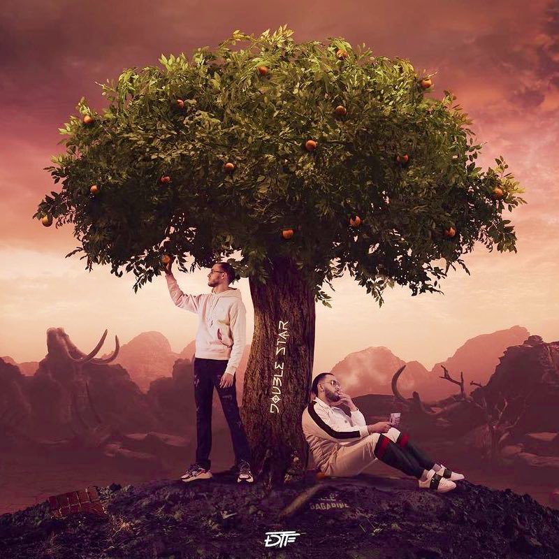 RedjQLF's tweet image. L’évolution de DTF en 5 ans ⭐️⭐️

« Double Star » est maintenant disponible de partout ! 💿