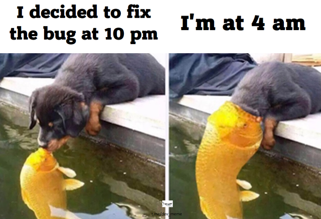 Theme_Selection's tweet photo. Programmers' life...!!π€£π
.
.
.
.
.
.
.
.
.
.
#programmer #programminglife #code #coding #webdeveloper #website #bug #coder #meme #programmersjoke #webdevmeme #Trending #funnymemes #developermeme #developerlife #100DaysOfCode #CodeNewbie #memesdaily #JS
#html #TrendingNow https://t.co/R2Wz62xyxn