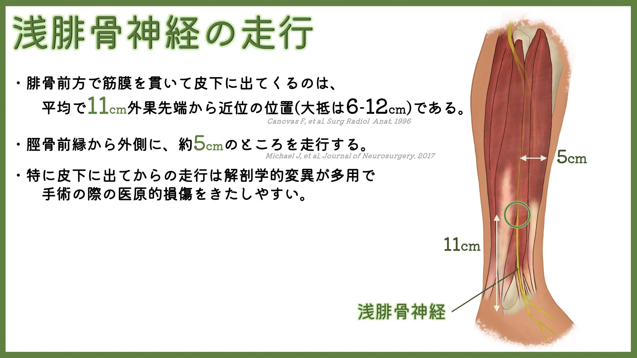 腓骨 Twitter Search Twitter
