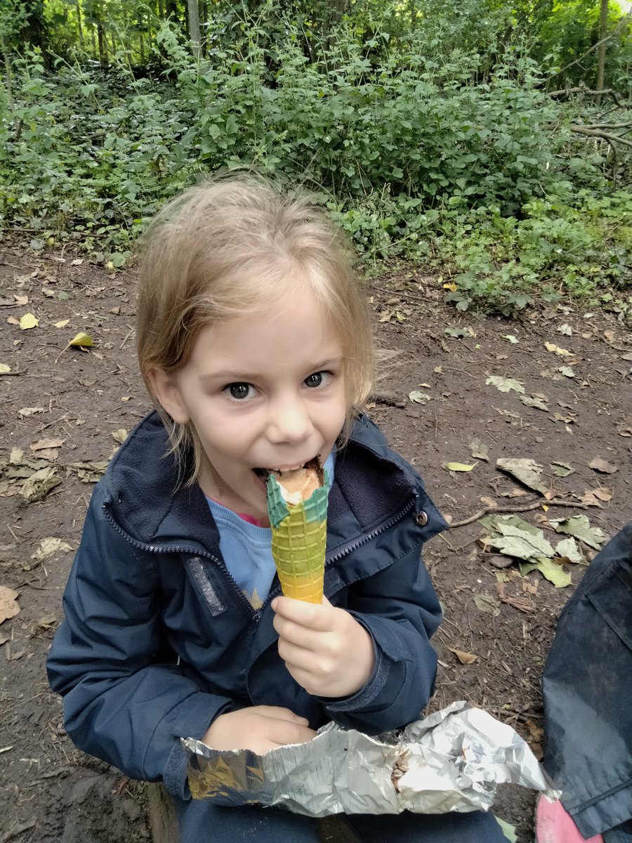 dodderhillpre's tweet photo. Campfire Unicones at Forest School.... I'd say they were a success! @dodderhill @ForestSchools https://t.co/giTTVpZX55