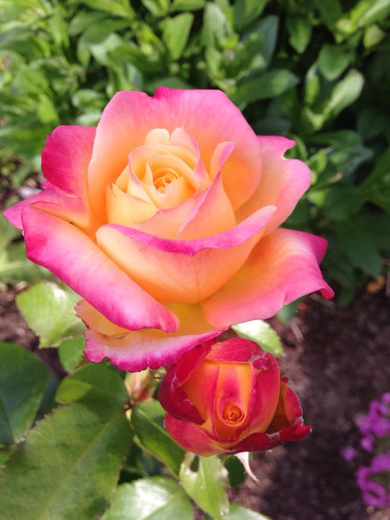 Conduru's tweet photo. ☆♡╓◈╝░H░A░P░P░Y░┖◉【ツ】❀
 ❀╓◈╝ ░F░R░I░D░A░Y░┖◉┒【ツ】☆♡♡╓◈╝T░W░I░T░T░E░R░L░A░N░D░┖◉┒【ツ】
☆ #Love #JoyTrain ♡💗
#Pray4Peace #Compassion
 I Declare World Peace 🙏🏼 #kindness #Pray4Children 🙏🏼 #Spirituality ✨❤️ #Blessings 💗 #IDWP https://t.co/946eURDDzK