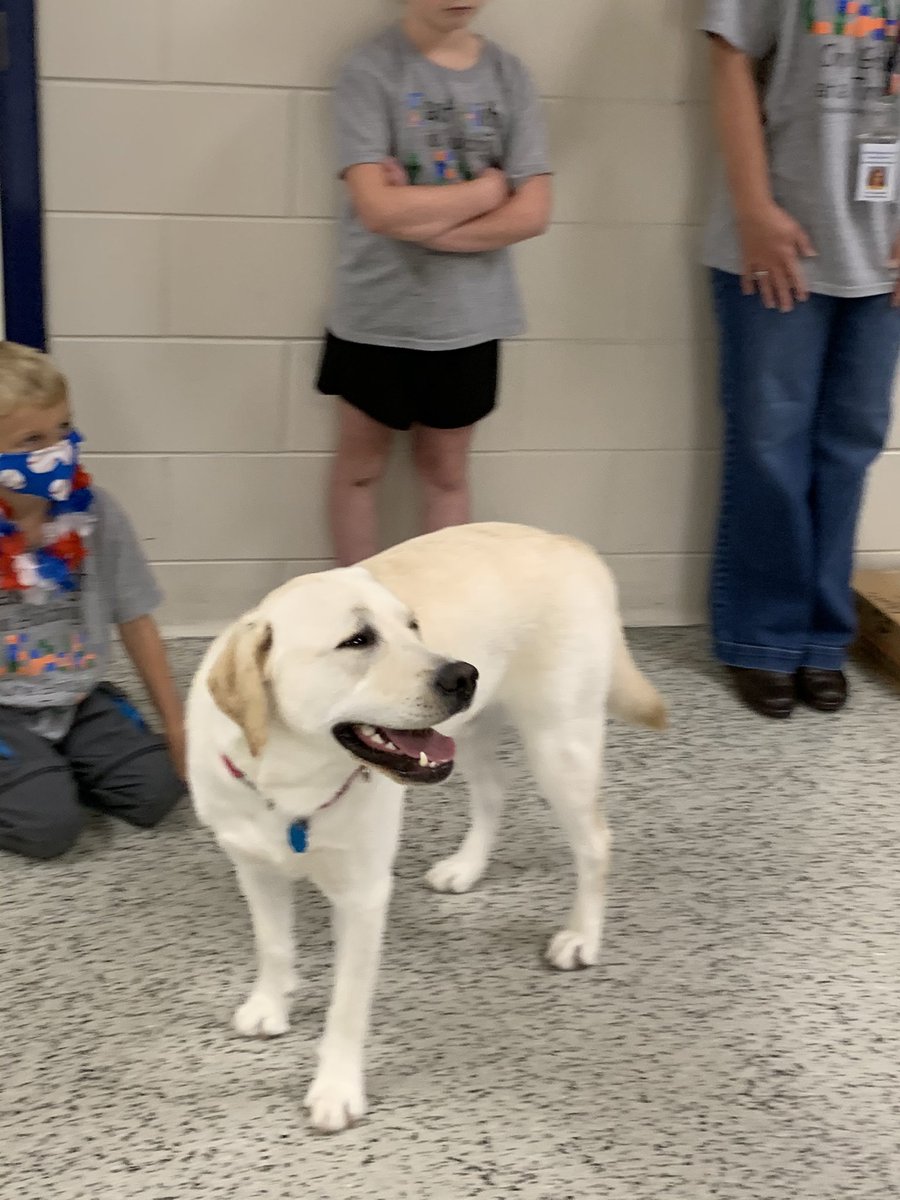 Our East High leaders and staff celebrated our Leadership/Sharpen the  Saw Day all around East High!  We had a obstacle course outside, time with Remi and so much more!  It was a great day!