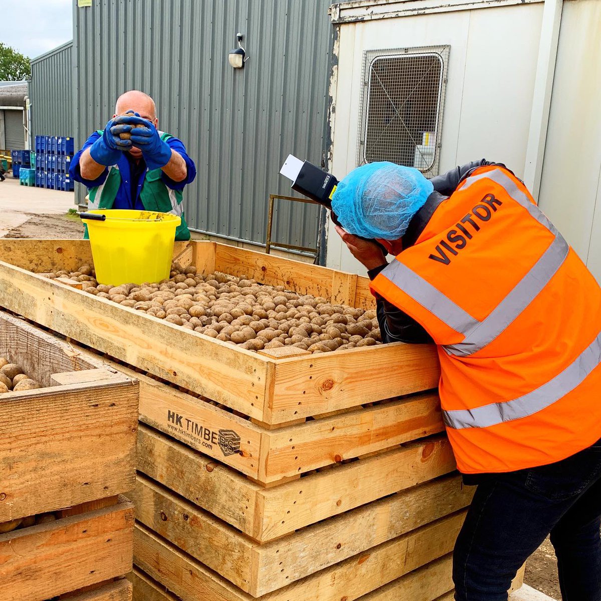 BennettPotatoes's tweet photo. Here’s a little snap shot behind the scenes on our shoot 📸 Looking forward to sharing an insight into what happens at the headquarters of one of the UK’s quality potato suppliers of choice ✅
#bennettpotatoes #qualitypotatoes #uksupplier #export #eu #retail #foodservices https://t.co/6bsnBOnGzT