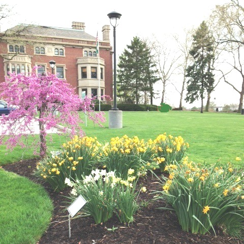 ESL_CSU's tweet photo. The Intensive English Language Program at Cleveland State University is still accepting applications for the fall semester. Contact esl@csuohio.edu or go to https://t.co/VZ5VDLV4T4 https://t.co/fSdwnhr8OT