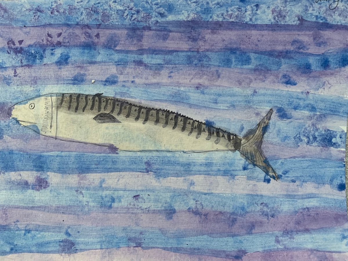 Ely St Mary's Junior School tweet media