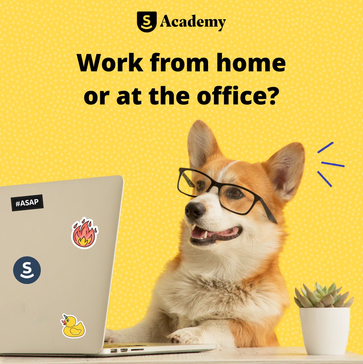 AirslateAcademy's tweet photo. π³οΈ Quick poll:
Tomorrow, our home state of Massachusetts is set to almost fully re-open, and many companies around the state will begin the transition back to the office. What's your ideal work setting?
π² #RemoteWork/#WFH
π² #InOfficeWork
π² #HybridWork https://t.co/yIakKzsiqJ