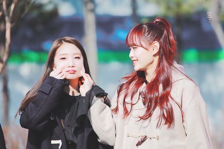 yeochuerry's tweet photo. this account is dedicated to loona’s adorable sunshine line: chuu, choerry, and yeojin! remember to tag me in your edits and i will help promote them!

@loonatheworld #CHUU #CHOERRY #YEOJIN https://t.co/EAlXvKEcEk