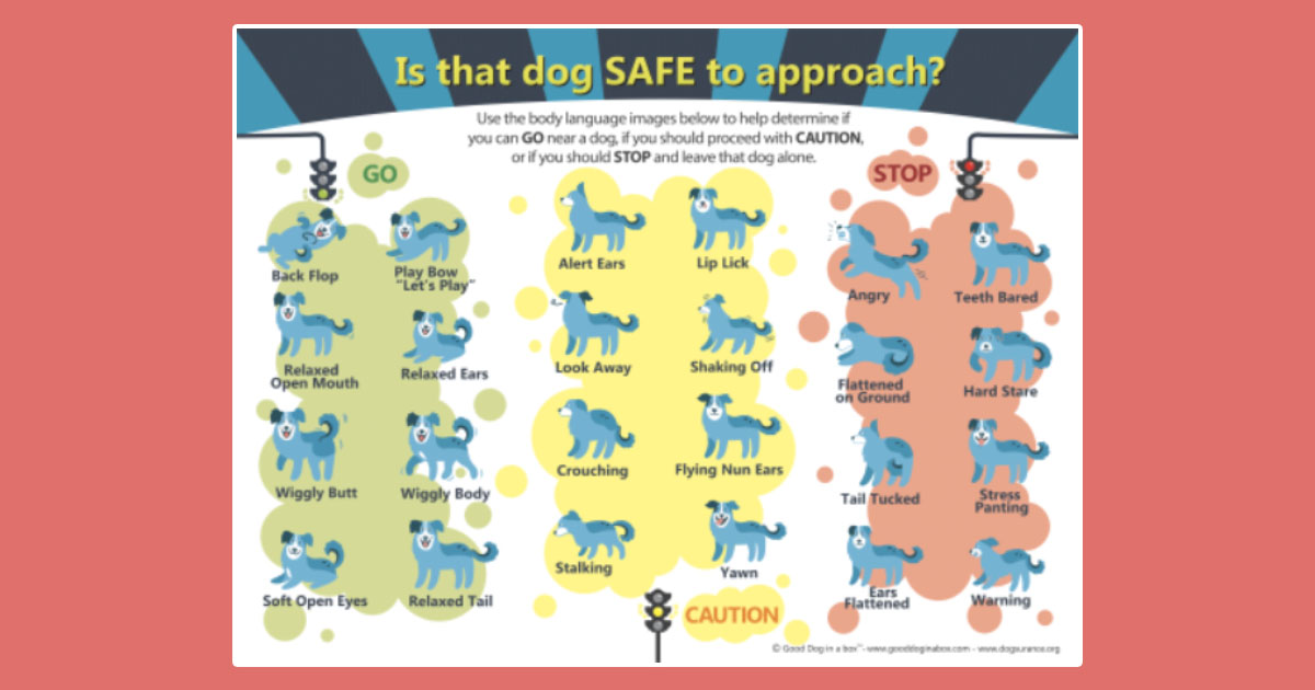 GoodDoginaBox's tweet photo. Today's freebie with $50 purchase is the new Dog Body Language Poster. 18" x 24" A $25 value. Teaches dog bite prevention with our adorable blue dog mascot. Get yours on any of the Good Dog sites. https://t.co/gZyjDHPgjP #dogbiteprevention #dogposters #dogs #dogbodylanguage https://t.co/X9Qqoizrh6