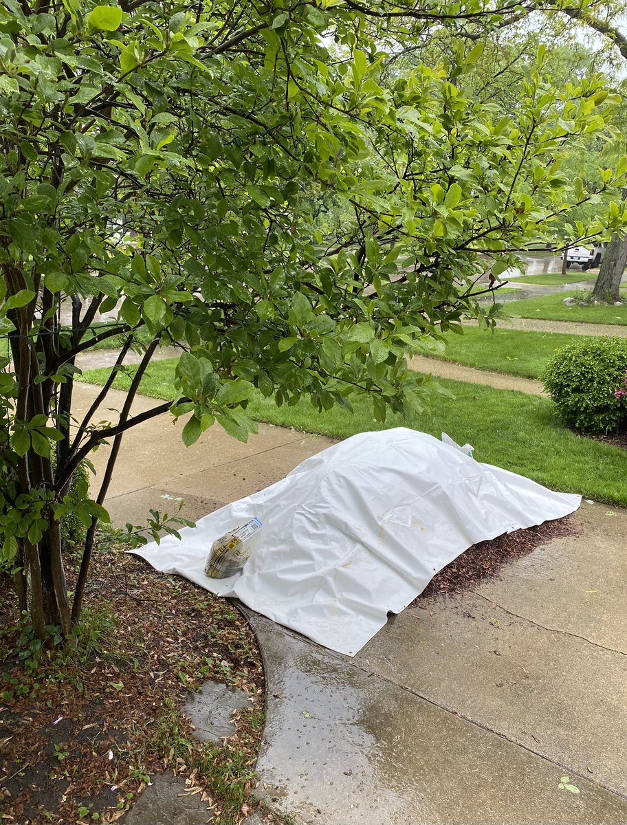 kelleyroot's tweet photo. Why yes I would like a yard of mulch dumped in my driveway while it’s pouring rain, thank you 😜 #HolidayWeekendFun https://t.co/Sd6mL1zHkp