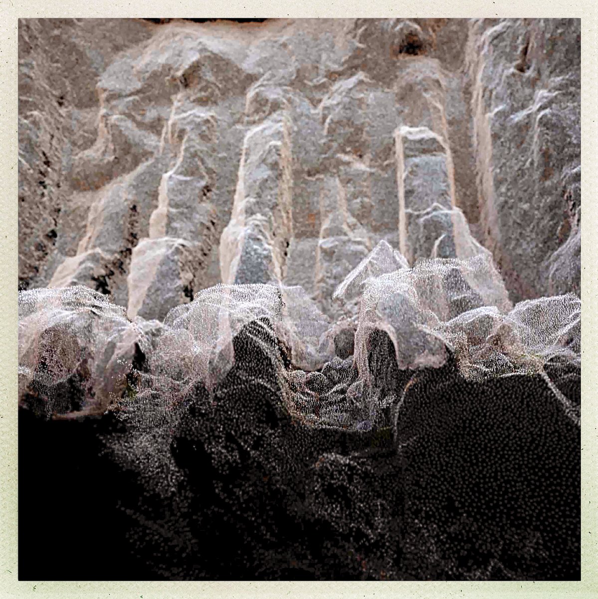 LlanthonybyGlos's tweet photo. The 'Surface Tensions' art installation event is opening tonight! Join us this evening, or Saturday/Sunday between 11am and 4pm
Tickets are free and can be pre-booked via our website:
https://t.co/eI8vigZkBa
@GloucesterCT @VisitGloucester @moreGloucester @GlosLiveOnline #HEfunded https://t.co/S2V3HhLECs