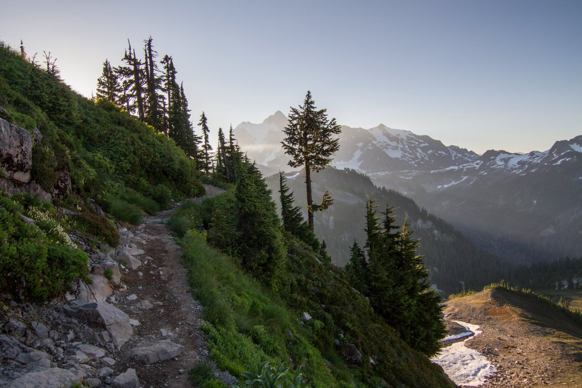 ForestServiceNW's tweet photo. You start up the trail before dawn’s first flashes strike the dew-laden grasses &amp; leaves. As you crest the peak’s shoulder, sunlight floods past your chilled cheeks while a stream babbles past.

#FridayFeeling https://t.co/2lwWEdkdq9