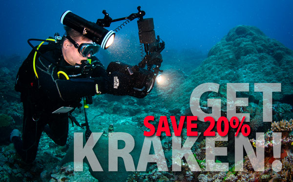 OpticalOcean's tweet image. 🐙 Save 20% on Kraken Underwater Lights - $70 on Oly TG-6! - mailchi.mp/opticaloceansa…