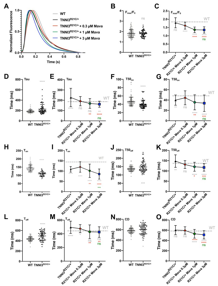 In CalTrack we found that Mavacamten has some benefit in correcting calcium transients in a hypertrophic cardiomyopathy variant of the thin filament. However, we didn't see complete resolution of the cellular phenotype.