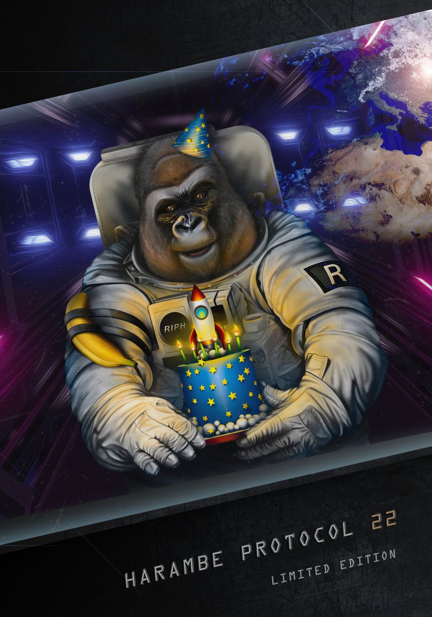 playrizegg's tweet photo. @binance @jonburgerman Harambe Protocol NFTs though. 😏🦍❤ https://t.co/mkKiMCow5P