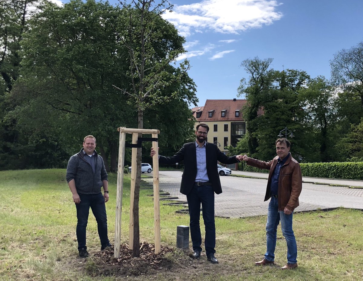 svenpaul's tweet photo. Etwas was vom #Wahlkampf bleibt. Eine #Wildbirne für den Schlosspark #Jessen. Das freut nicht nur #Bürgermeister #Jahn. Ich bin jetzt stolzer #Baumpate! Dank gilt Robert #Kühn (#GaLaBau Jessen) für die Umsetzung des Projekts #svenpaul4landrat #baumpflanzen https://t.co/KdbhjgywVQ
