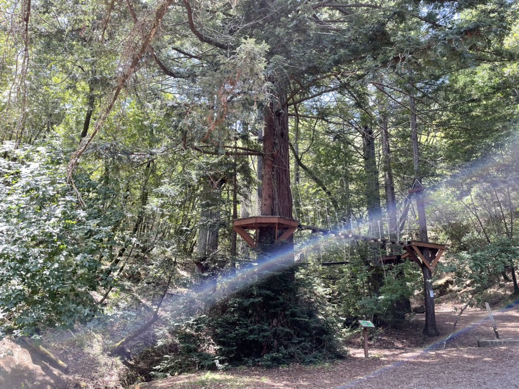 GSNorCal's tweet photo. Another beautiful day at #gsnorcal Camp Bothin 💚
(📷 via @Holbrook_Cares) https://t.co/bluQAAxp2G