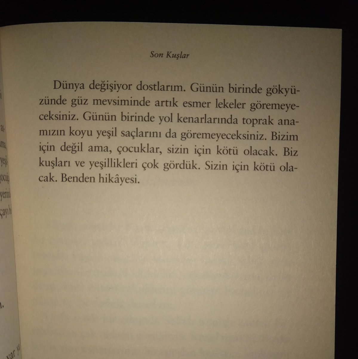 Sait Faik Abasıyanık - Son Kuşlar