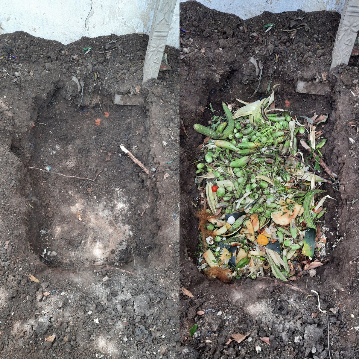 Nageshyada2's tweet photo. Vegetable waste compost.
The left over vegetables can be reused again To make compost 
The compost is rich in humus content.
#ICAR #iihr #reuse #Recycle #compost #jammikunta #agriculture #horticulture #vegetable https://t.co/R4vNmmuUAA