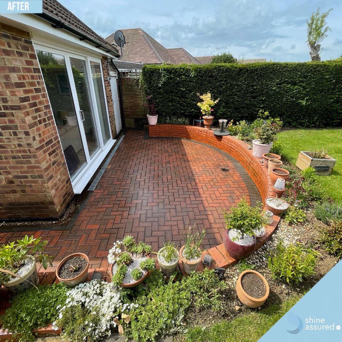 Shine Assured Ltd tweet media