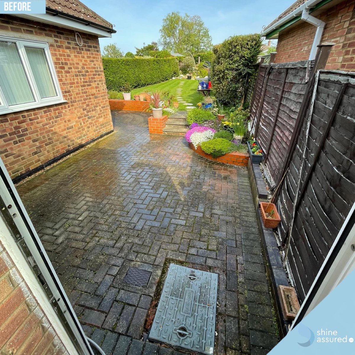 Shine Assured Ltd tweet media